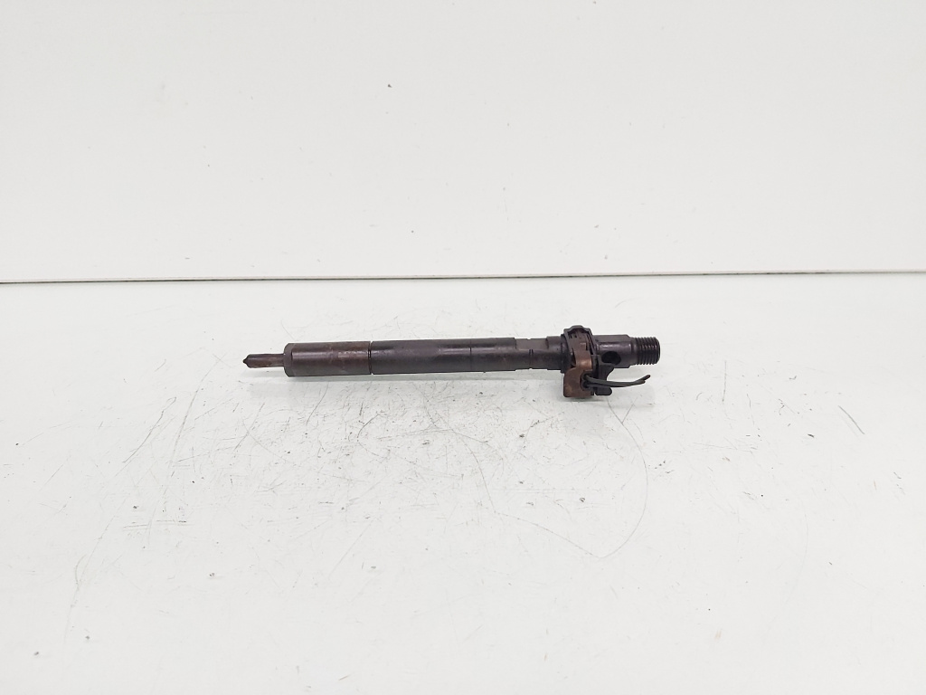 Injector Delphi, cod A6510700587, Mercedes Clasa E (W212), 2.2 CDI, OM651924 (id:689246)