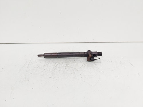Injector Delphi, cod A6510700587, Mercedes Clasa E (W212), 2.2 CDI, OM651924 (id:689246)