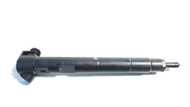 Injector Delphi, cod A6510701387, Mercedes Clasa C...