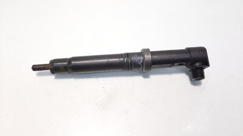 Injector Delphi, cod A6510702687, Mercedes Clasa C (W204), 2.2 CDI, OM651913 (id:576520)