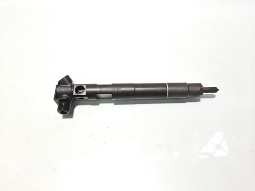Injector Delphi, cod A6510702687, Mercedes Clasa C (W204), 2.2 CDI, OM651913 (id:576522)