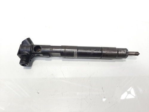 Injector Delphi, cod A6510702887, Mercedes Clasa C (W204), 2.2 CDI, OM651911 (idi:600734)