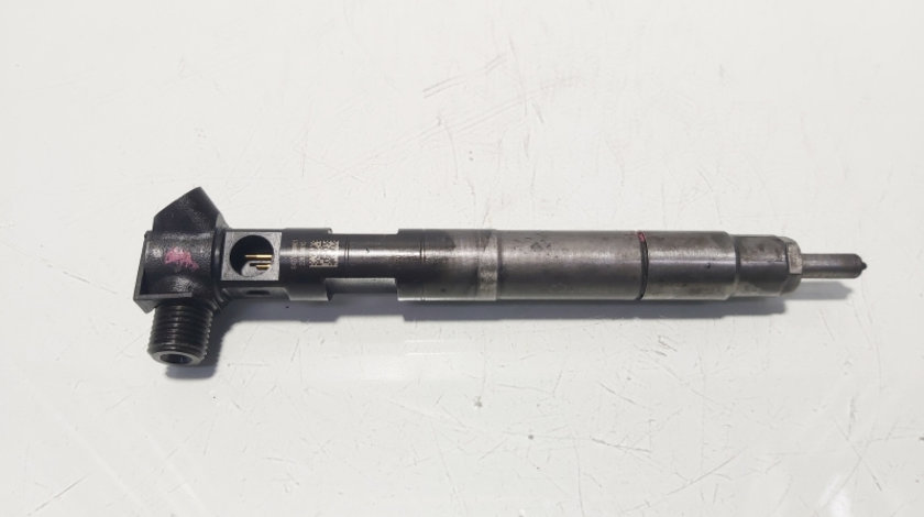 Injector Delphi, cod A6510702887, Mercedes Clasa E (W212), 2.2 CDI, OM651924 (id:634687)