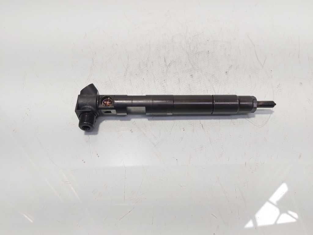 Injector Delphi, cod A6510702887, Mercedes Clasa E (W212) 2.2 CDI, OM651924 (id:687550)