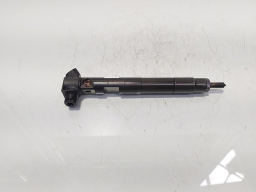 Injector Delphi, cod A6510702887, Mercedes Clasa E (W212) 2.2 CDI, OM651924 (id:687548)