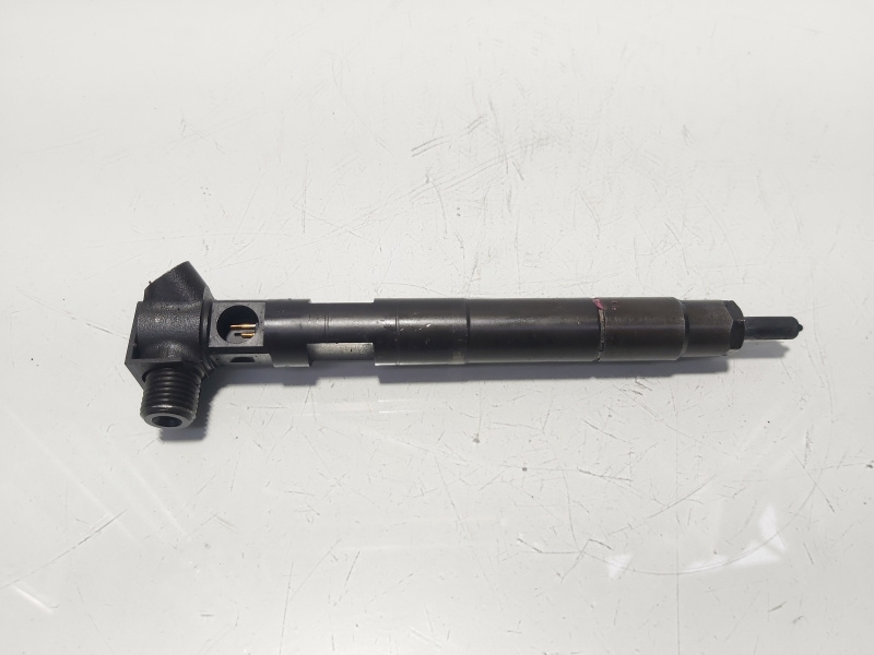 Injector Delphi, cod A6510702887, Mercedes Clasa E (W212) 2.2 CDI, OM651924 (id:585052)