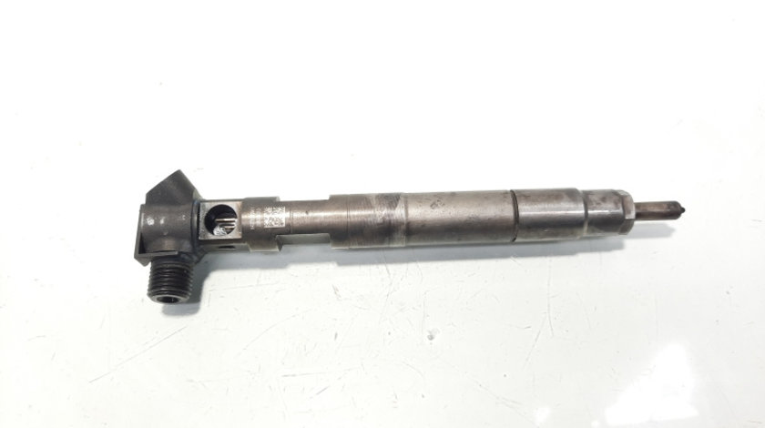 Injector Delphi, cod A6510702887, Mercedes Clasa E (W212) 2.2 CDI, OM651924 (id:585053)