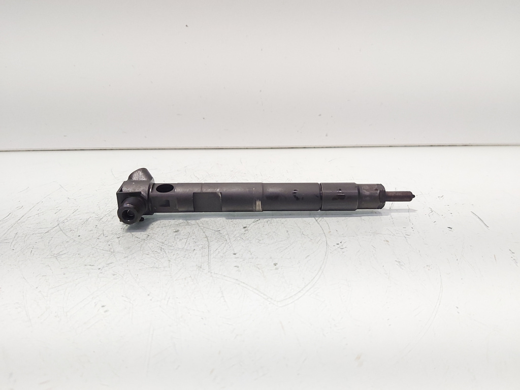 Injector Delphi, cod A6510702887, Mercedes Clasa E (W212) 2.2 CDI, OM651924 (id:689778)