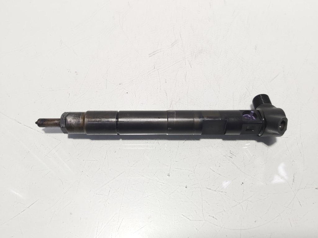 Injector Delphi, cod A6510702887, Mercedes Clasa E (W212), 2.2 CDI, OM651924 (id:637108)
