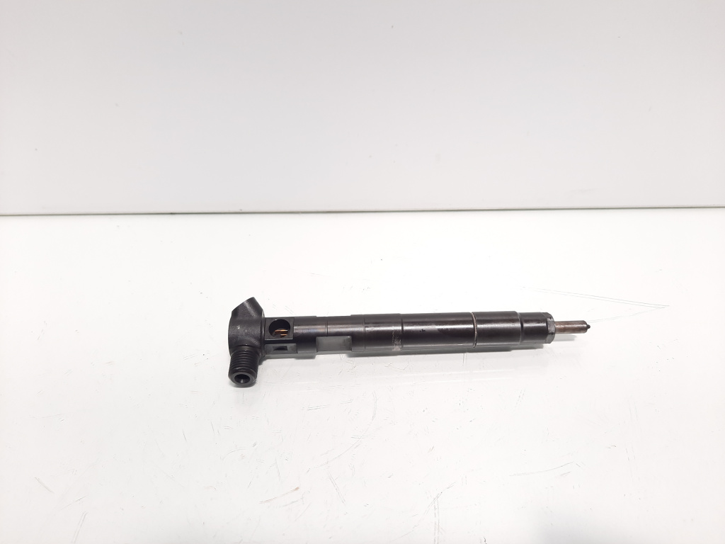 Injector Delphi, cod A6510702887, Mercedes Clasa E (W212), 2.2 CDI, OM651924 (id:600325)
