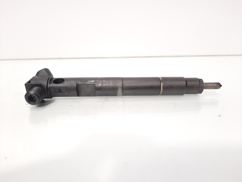 Injector Delphi, cod A6510702887, Mercedes Clasa E (W212) 2.2 CDI, OM651924 (id:600327)