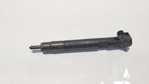 Injector Delphi, cod A6510702887, Mercedes Clasa G...