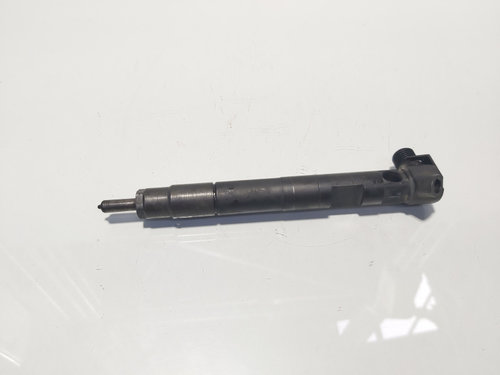 Injector Delphi, cod A6510702887, Mercedes Sprinter 3-t Platforma (906), 2.2 CDI, OM651957 (idi:6242...