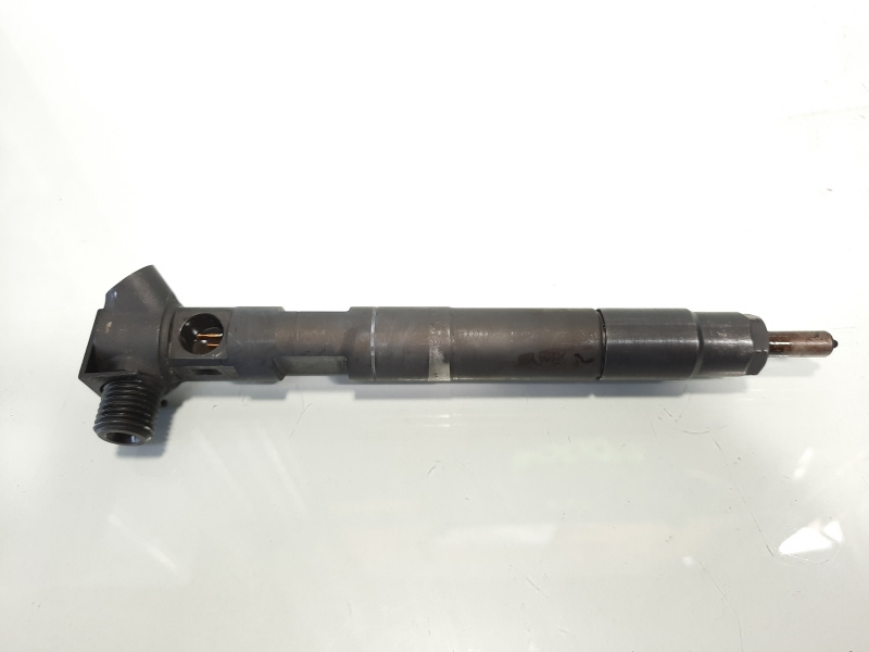 Injector Delphi, cod A6510704987, Mercedes Clasa E T-Model (S212), 2.2 CDI, OM651924 (idi:484660)
