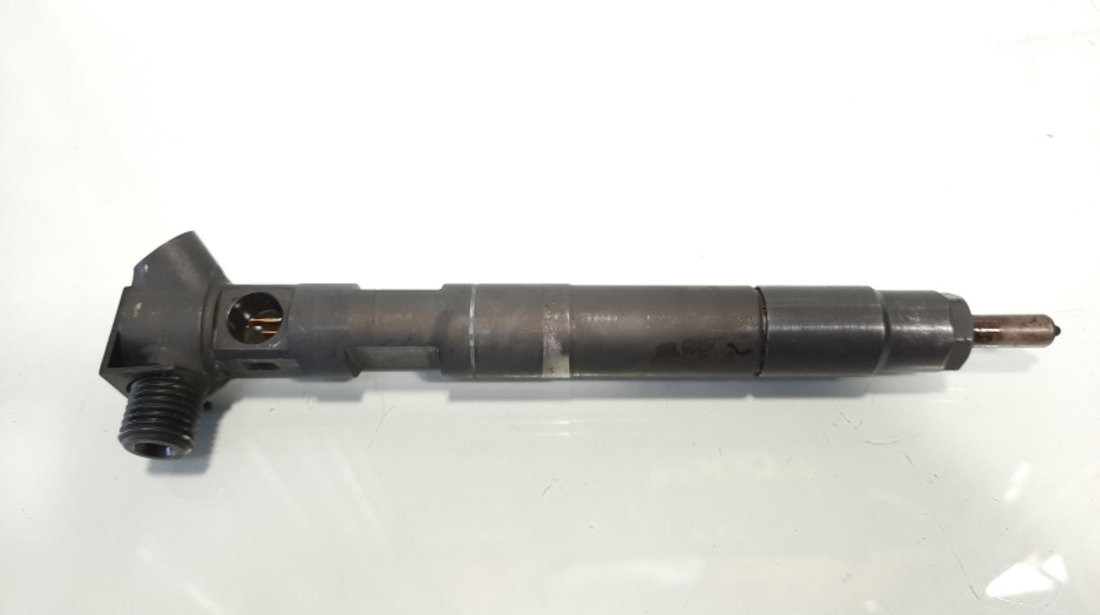 Injector Delphi, cod A6510704987, Mercedes Clasa E (W212) 2.2 CDI, OM651924 (id:484677)