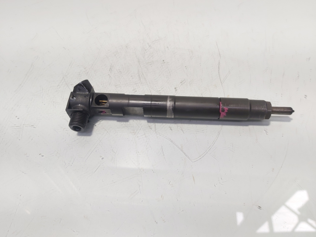 Injector Delphi, cod A6510704987, Mercedes Clasa E (W212) 2.2 CDI, OM651924 (id:479634)