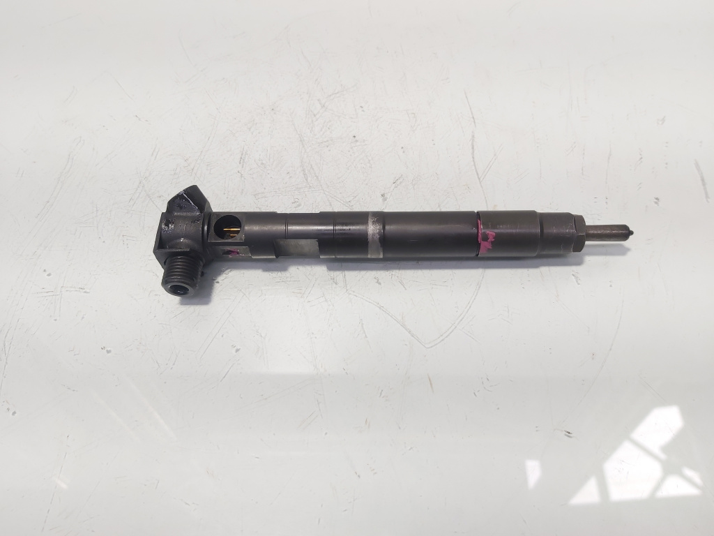 Injector Delphi, cod A6510704987, Mercedes Clasa E (W212) 2.2 CDI, OM651924 (id:474130)