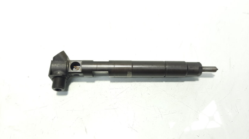 Injector Delphi, cod A6510704987, Mercedes Clasa E (W212), 2.2 CDI, OM651924 (id:583038)