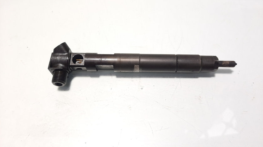 Injector Delphi, cod A6510704987, Mercedes Clasa E (W212), 2.2 CDI, OM651924 (id:583039)