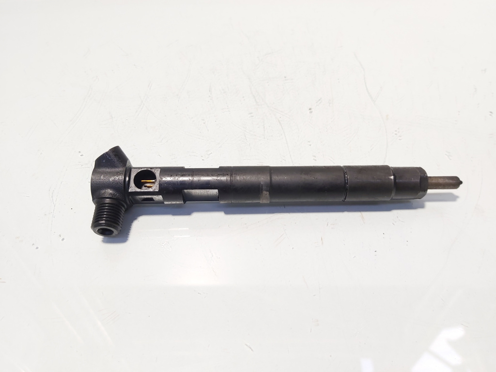 Injector Delphi, cod A6510704987, Mercedes Clasa E (W212), 2.2 CDI, OM651924 (id:677839)