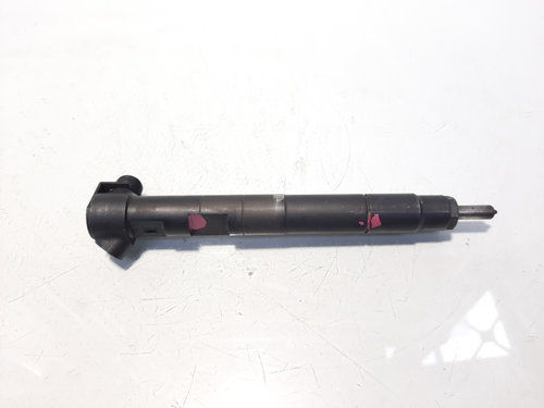Injector Delphi, cod A6510704987, Mercedes CLS (C218), 2.2 CDI, OM651924 (idi:588688)