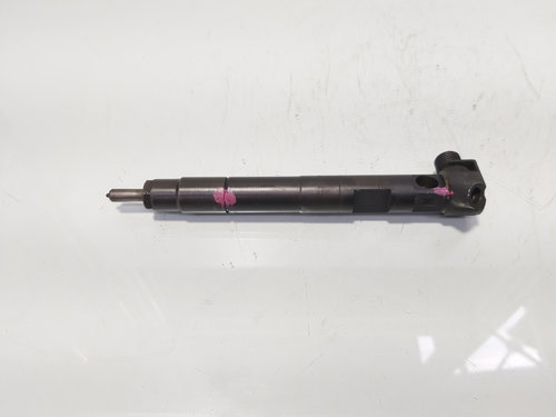 Injector Delphi, cod A6510704987, Mercedes CLS (C218), 2.2 CDI, OM651924 (idi:683925)