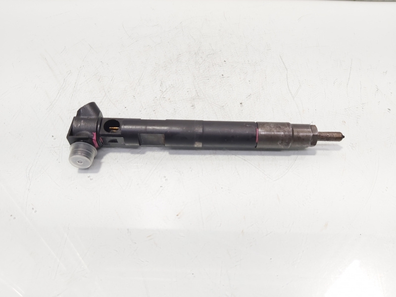 Injector Delphi, cod A65110700587, Mercedes Clasa E (W212) 2.2 CDI, OM651924 (id:672751)