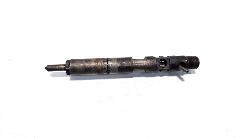 Injector Delphi, cod EJBR04101D, 8200553570, Renault Kangoo 1 Express, 1.5 DCI, F9K704 (id:533305)