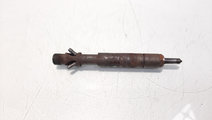 Injector Delphi, Ford Transit Connect (P65) 1.8 TD...