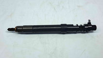 Injector Ford C-Max 2 [Fabr 2010-2015] 9686191080 ...