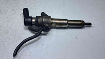 Injector Ford Transit Connect (P65) [Fabr 2002-201...