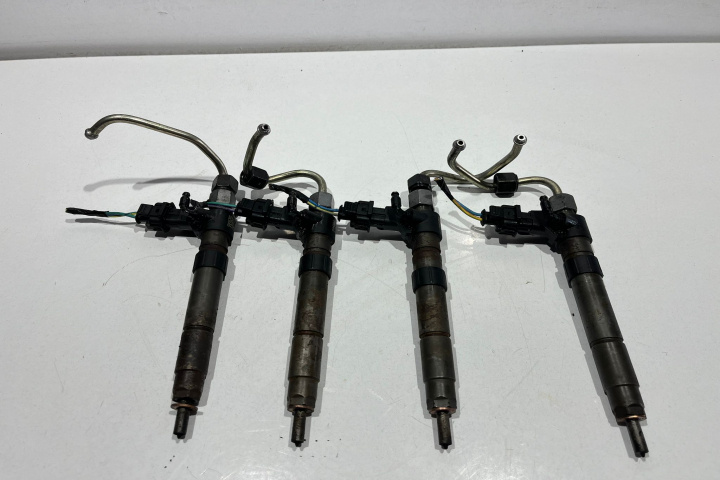 Injector injectoare 2.2 SD4 224DT 0445116043 Land Rover Range Rover Evoque L538 [2011 - 2015]