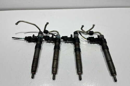 Injector injectoare 2.2 SD4 224DT 0445116043 Land Rover Range Rover Evoque L538 [2011 - 2015]