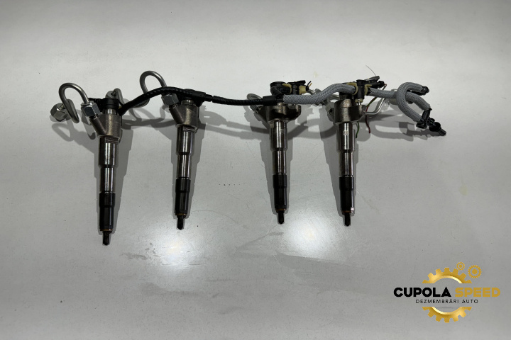 Injector Injectoare 2.3dci 166009567R HMLGT5690R Renault Master 3 [1st facelift] [2014 - 2020]