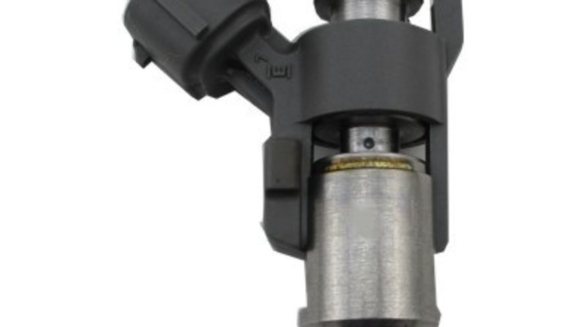 Injector IVECO DAILY IV; FIAT DUCATO 3.0CNG dupa 2007