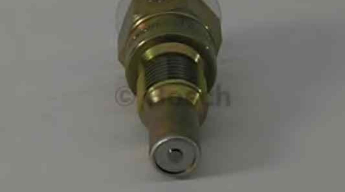 Injector MERCEDES-BENZ S-CLASS (W108, W109) BOSCH 0 437 004 002