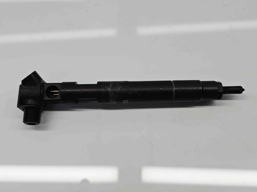 Injector Mercedes Clasa E (W212) [Fabr 2009-2016] A6510704987 2.2 CDI 651911 125KW / 170CP