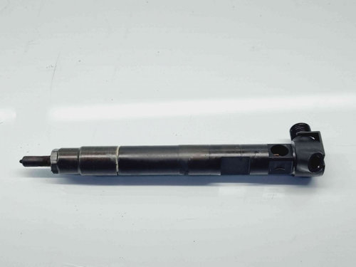 Injector Mercedes Clasa E (W212) Facelift AMG [Fabr 2009-2016] A6510704987 2.2 CDI 651924 2.2 CDI 65...