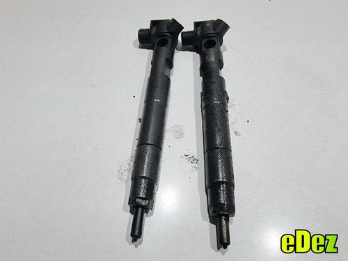Injector Mercedes CLS (2011->) [C218] w218 2.2 cdi euro 5 A6510700587
