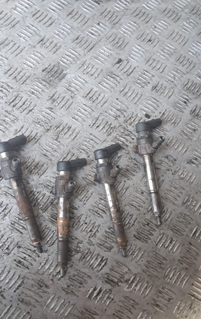 Injector motorina 8200294788 / 166009445R Renault Grand Scenic 3 [2009 - 2012] Minivan 1.5 dCi MT (110 hp)
