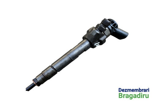 Injector motorina Cod: 7810702 02 7810702 02 BMW Seria 5 F11 [2009 - 2013] Touring wagon 520 d Stept...