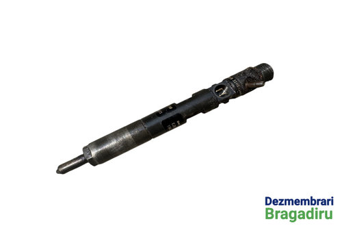 Injector motorina Cod: 8200049873 8200049873 Renault Megane 2 [facelift] [2006 - 2012] Hatchback 5-u...