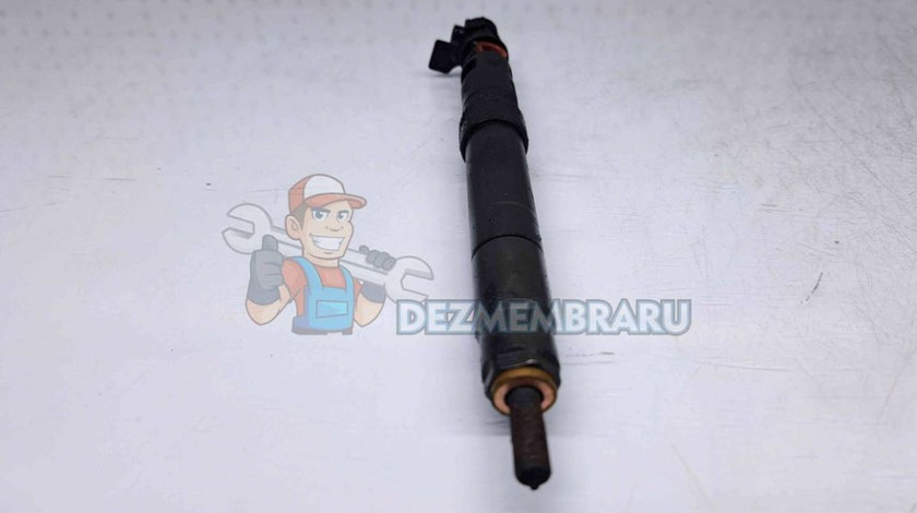 Injector Peugeot 3008 [Fabr 2009-2016] 9686191080 2.0 120KW 163CP