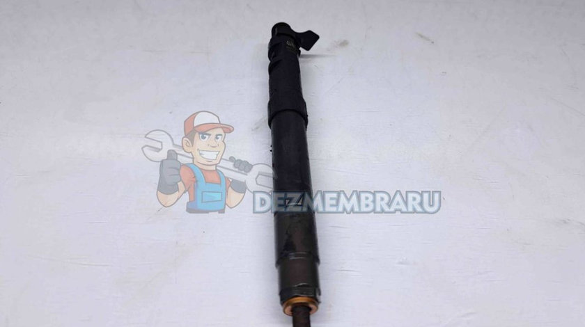 Injector Peugeot 3008 [Fabr 2009-2016] 9686191080 2.0 120KW 163CP