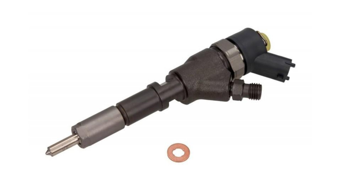 Injector Peugeot 307 SW (3H) 2002-2016 #2 0445110062