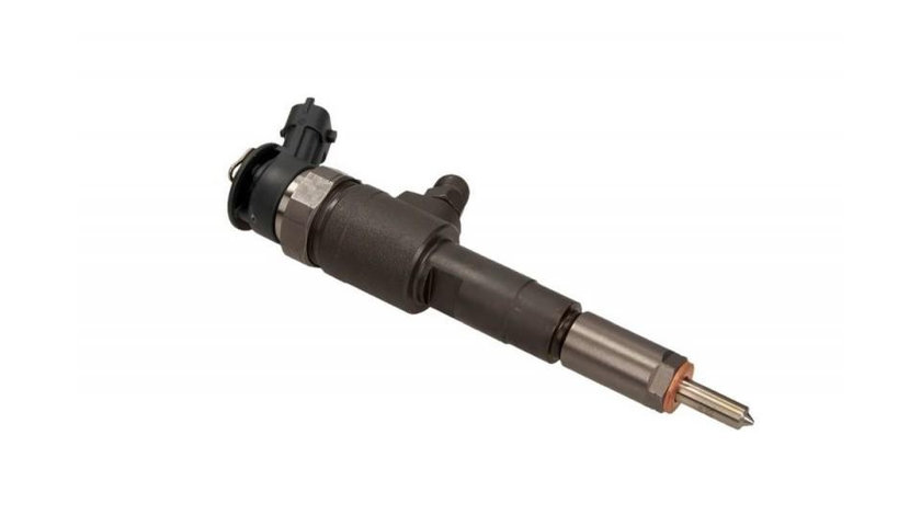 Injector Peugeot 307 SW (3H) 2002-2016 #2 0445110135
