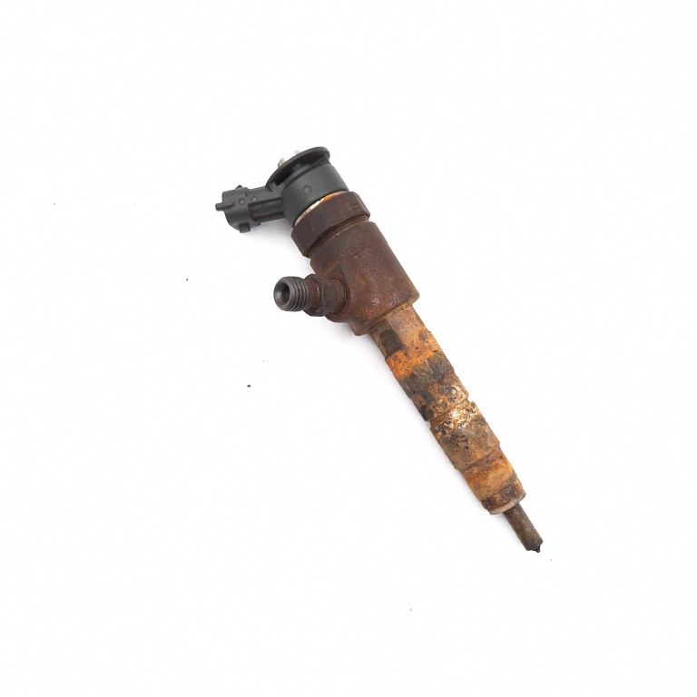 Injector Peugeot 308 (4A, 4C) 2007-2013 1.6 Hdi 9Hp (Dv6Dted) Motorina Motorina E870692, 0445110340