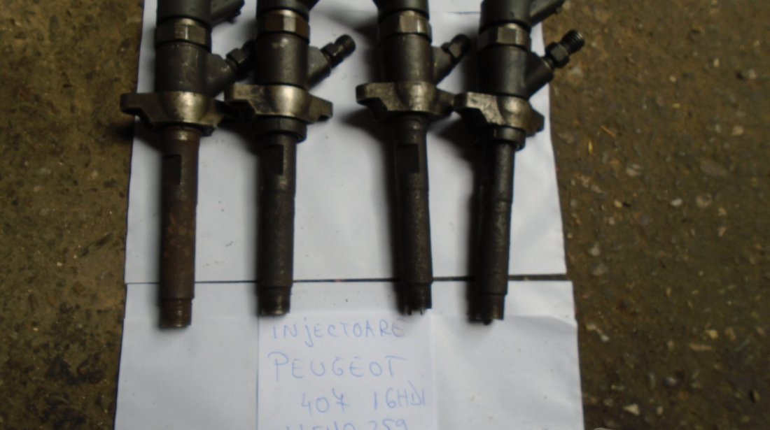 Injector Peugeot 407-1.6HDI DIN 2004-0445110259