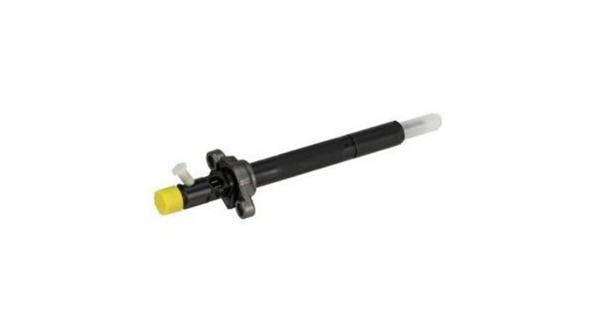 Injector Peugeot 407 cupe (6C_) 2005-2016 #2 1980K3