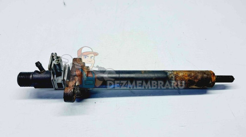 Injector Peugeot 508 [Fabr 2010-2018] 9688438580 2.0 DW10BTED4